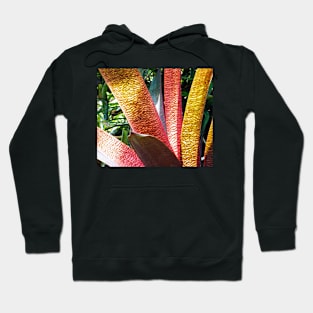 Leaves of Colour Hoodie